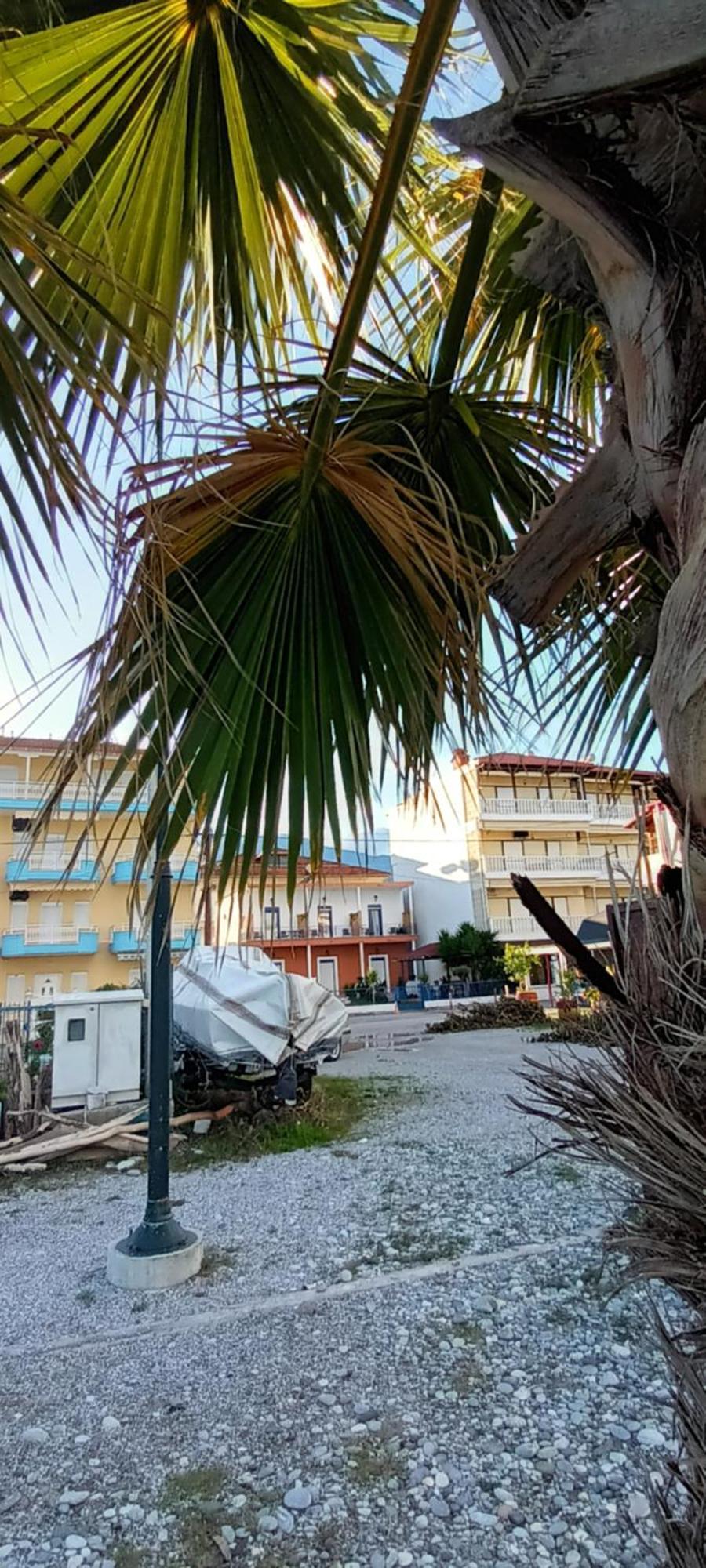 לפטוקריה Mana Mia Seaside Apartments מראה חיצוני תמונה